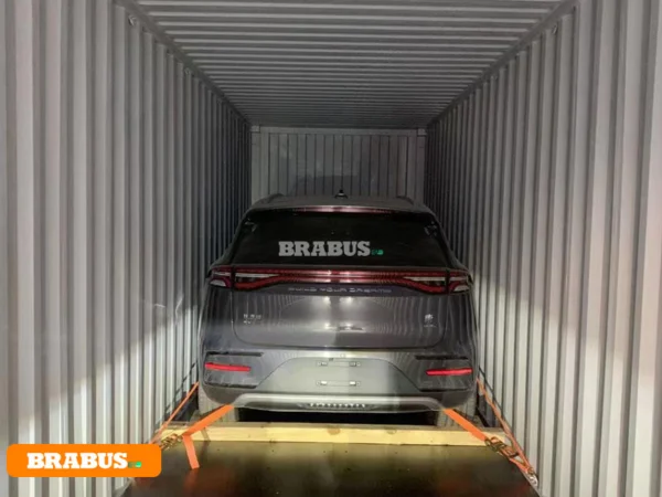 BYD-vehículo-eléctrico-transporte_7