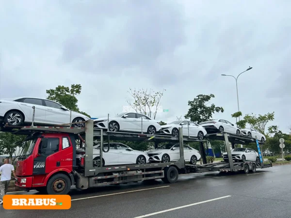 Changan-electric-vehicle-transport_5