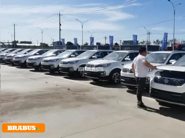 Changan-electric-vehicle-transport_9