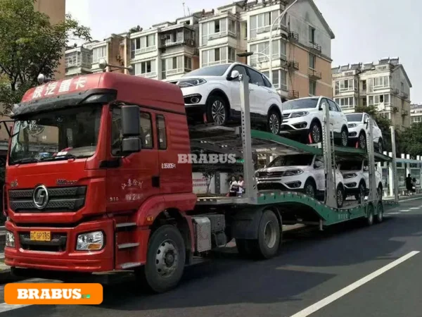 Chery-electric-vehicle-transport_10