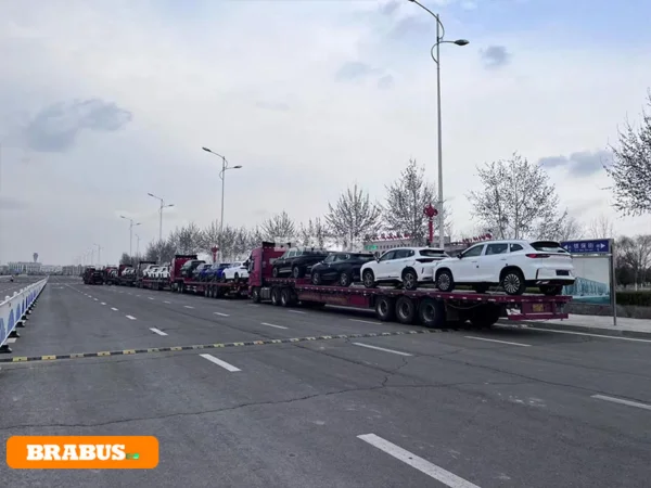 Chery-electric-vehicle-transport_3