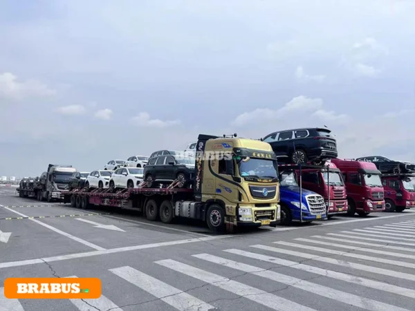 Chery-electric-vehicle-transport_4