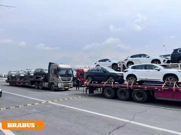 Chery-electric-vehicle-transport_5