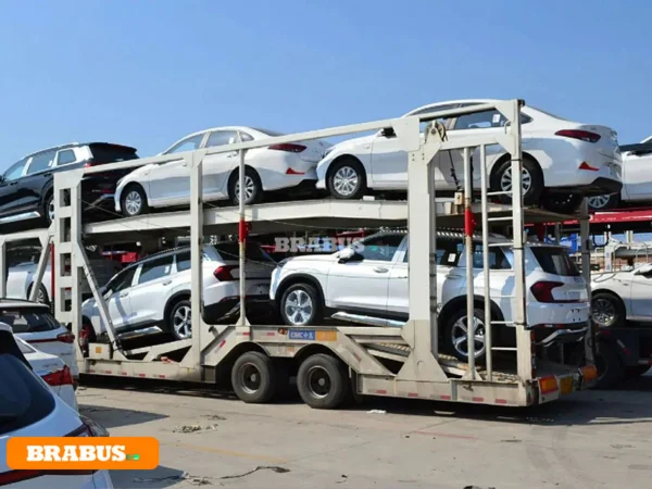 Chery-electric-vehicle-transport_7