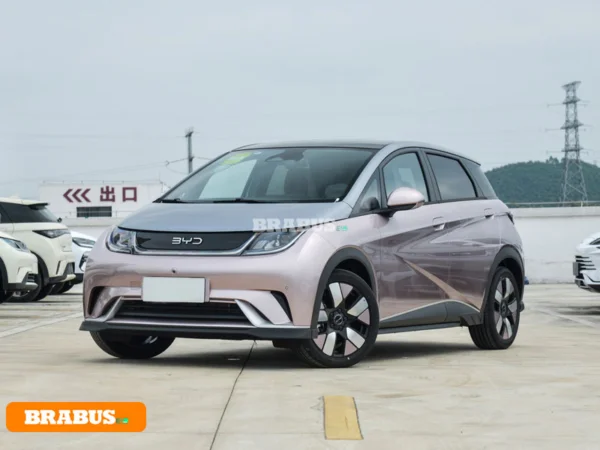 รถพลังงานไฟฟ้า Dolphin-รูปลักษณ์_1