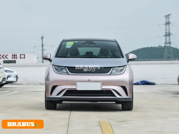 รถพลังงานไฟฟ้า Dolphin-รูปลักษณ์_2