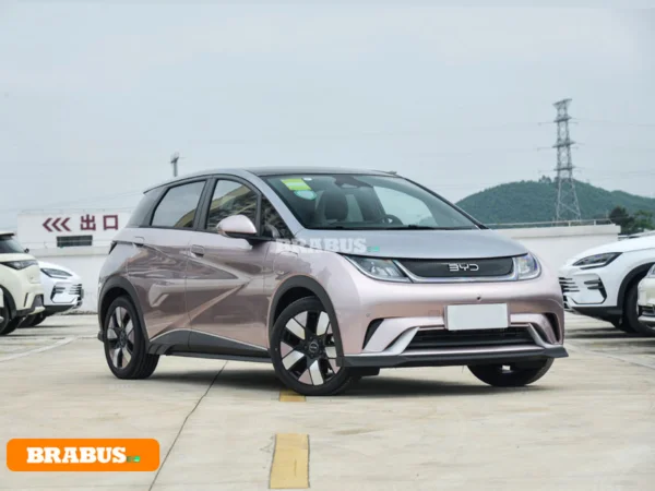 รถยนต์ไฟฟ้า Dolphin-รูปลักษณ์_3