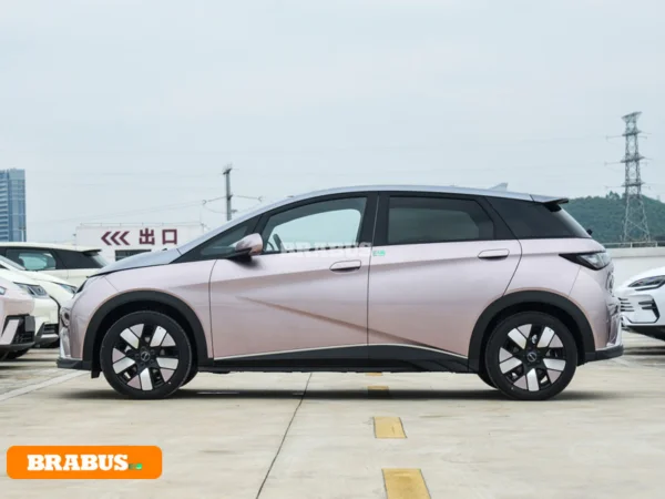 รถยนต์ไฟฟ้า Dolphin-รูปลักษณ์_4