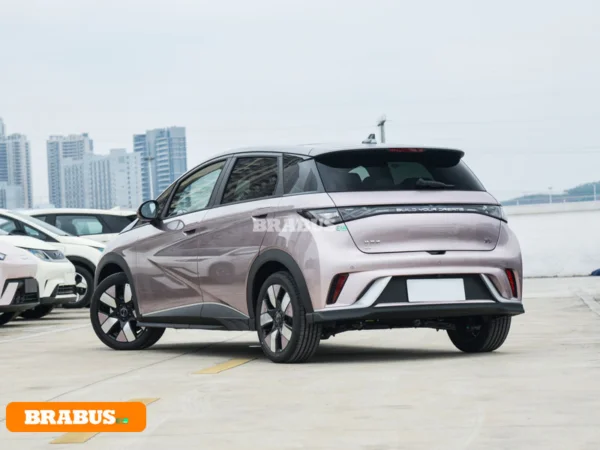 รถยนต์ไฟฟ้า Dolphin-รูปลักษณ์_5