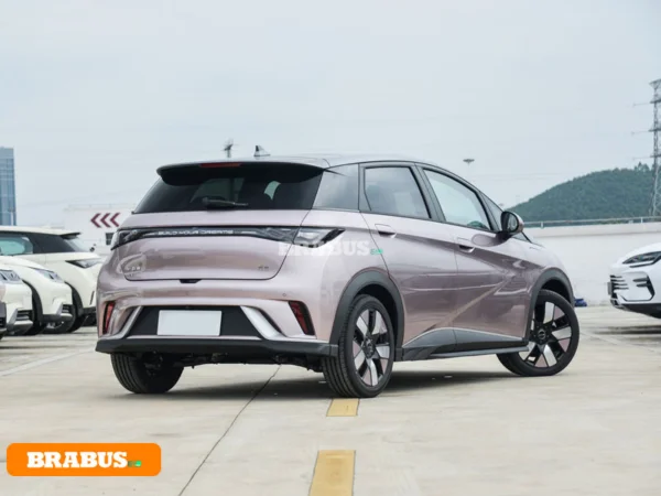 รถยนต์ไฟฟ้า Dolphin-รูปลักษณ์_7