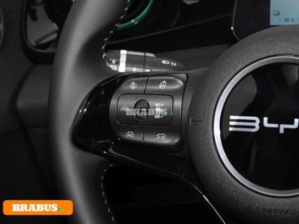 รถพลังงานไฟฟ้า Dolphin-Central-control_2