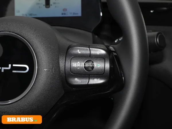 รถพลังงานไฟฟ้า Dolphin-Central-control_3