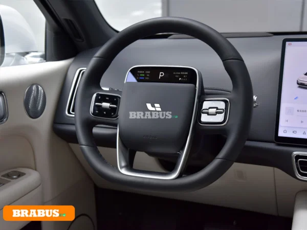 LI-L6-electric-vehicle-Detail_3