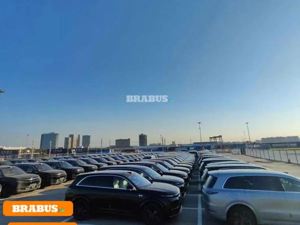 LI-electric-vehicle-transport_2