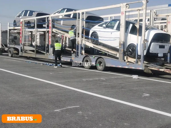 LI-electric-vehicle-transport_6