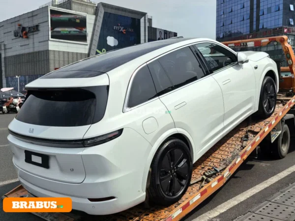 LI-electric-vehicle-transport_7