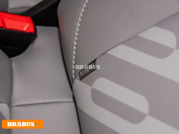 Leapmotor-T03-electric-vehicle-Detail_8