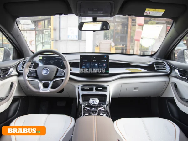 Qin-electric-vehicle-Central-control_1