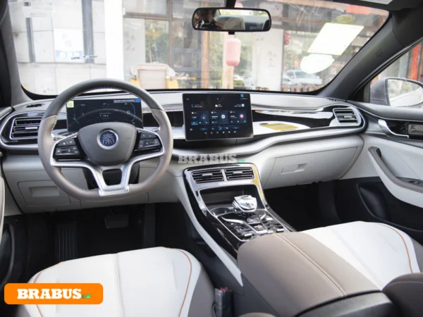 Qin-electric-vehicle-Space_1