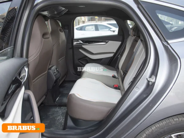 Qin-electric-vehicle-Space_3