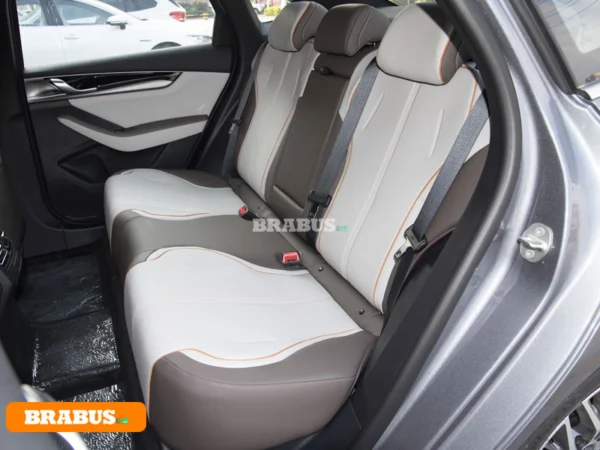 Qin-electric-vehicle-Space_4