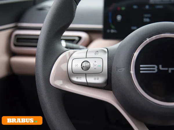 Gaviota-vehículo-eléctrico-control-central_2