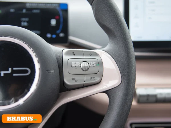 Gaviota-vehículo-eléctrico-control-central_3