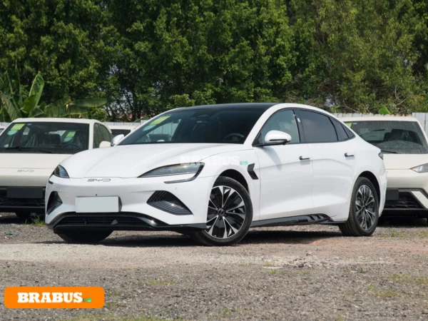 Seal-electric-vehicle-Appearance_1