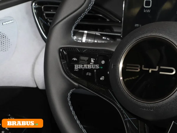 Seal-electric-vehicle-Central-control_2