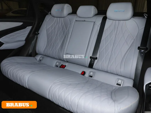 Seal-electric-vehicle-Space_4