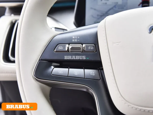 Song-L-vehículo-eléctrico-Control-central_2