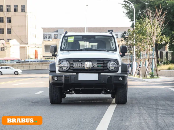 Tanque-300-vehiculo-gasolina-apariencia_2