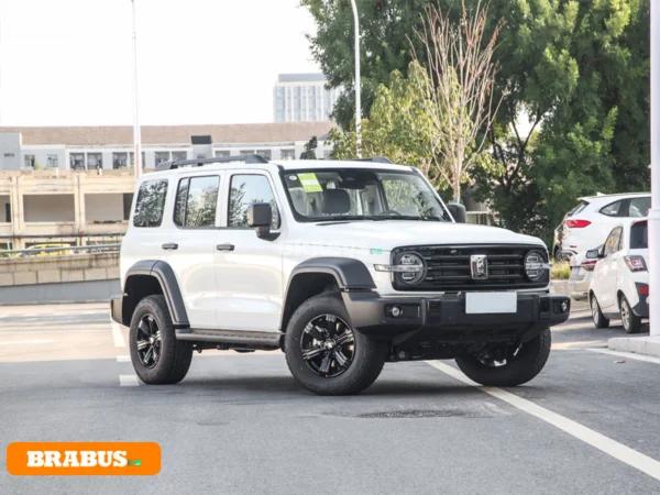 Tanque-300-vehiculo-gasolina-apariencia_3