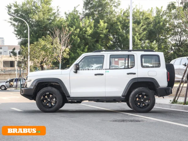 Tanque-300-vehiculo-gasolina-apariencia_4