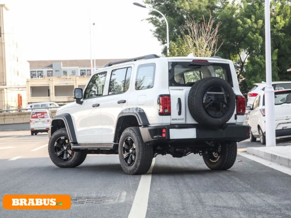 Tanque-300-vehiculo-gasolina-apariencia_5