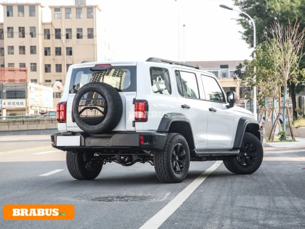 Tanque-300-vehiculo-gasolina-apariencia_7