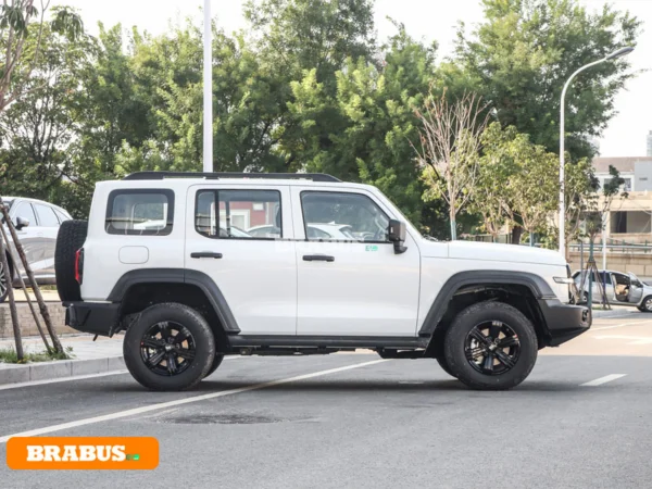 Tanque-300-vehiculo-gasolina-apariencia_8