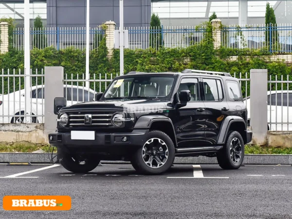 TANK-300HiT-4-electric-vehicle-Appearance_1