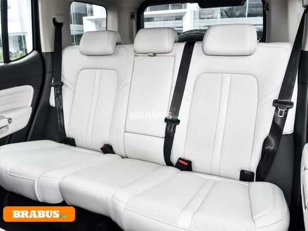 TANK-300HiT-4-electric-vehicle-Space_4