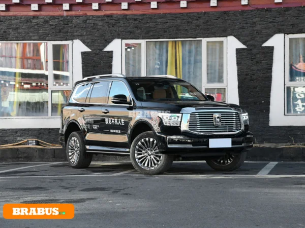 TANK-500-gasoline-vehicle-Appearance_3