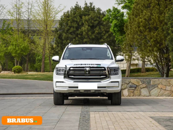 TANK-500HiT-4-electric-vehicle-Appearance_2