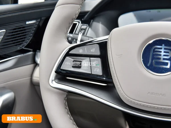 Tang-electric-vehicle-Central-control_2