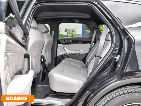 Tang-electric-vehicle-Space_3