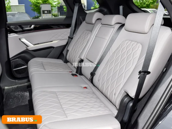 Tang-electric-vehicle-Space_4