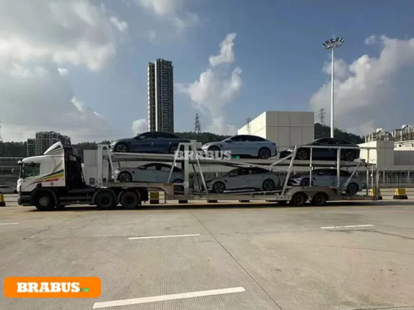 Tesla-electric-vehicle-transport_2