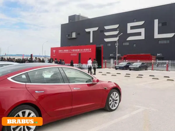 Tesla-electric-vehicle-transport_7