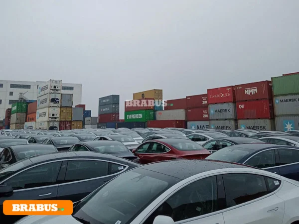 Tesla-electric-vehicle-transport_9