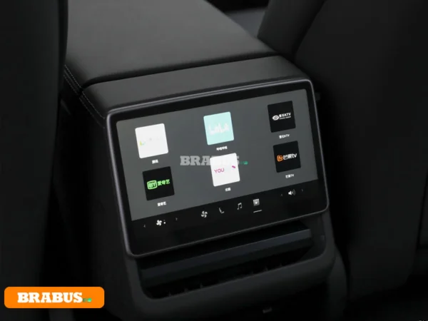 Tesla-model-3-electric-vehicle-Detail_7