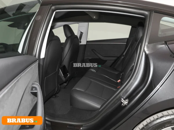 Tesla-model-3-electric-vehicle-Space_3