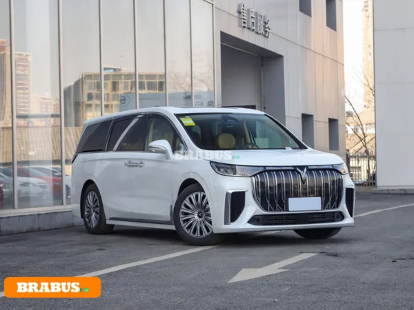 VOYAH-Dreamer-electric-vehicle-Appearance_3